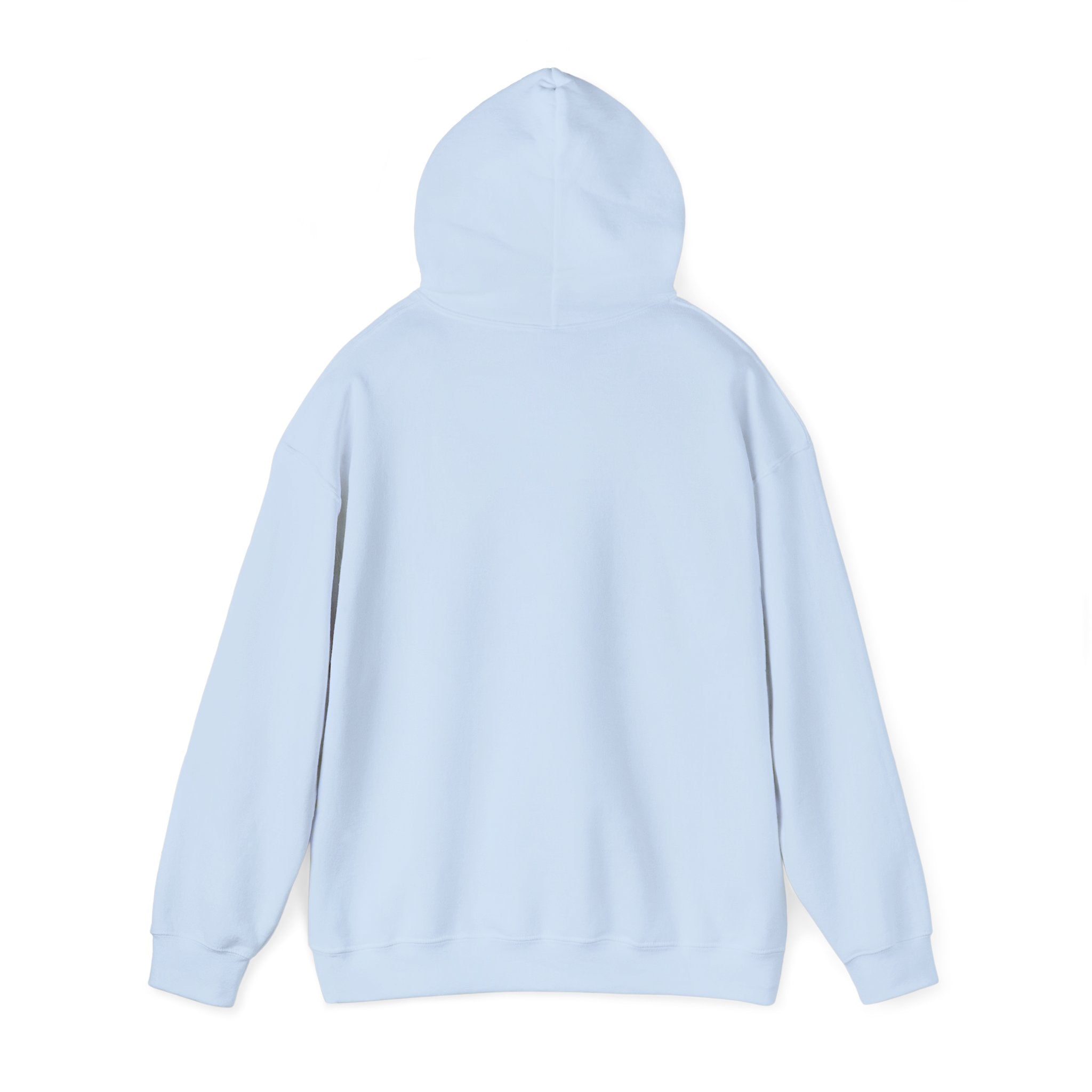 KR47 Taube Hoodie – Wear your City Kollektion | ORGNL Fabrics